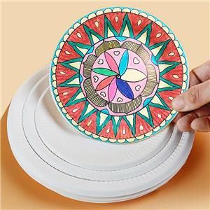 biodegradable Creative DIY craft paper plate