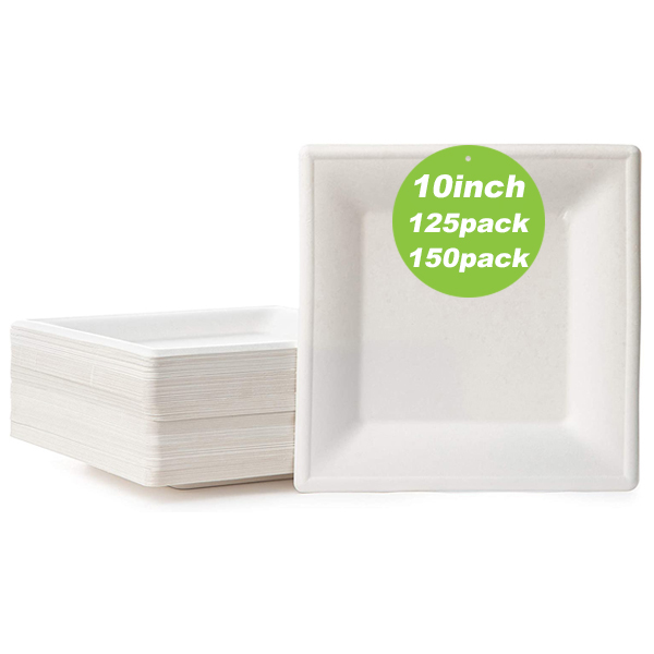 Bagasse 10 inch square plate inspection delivery