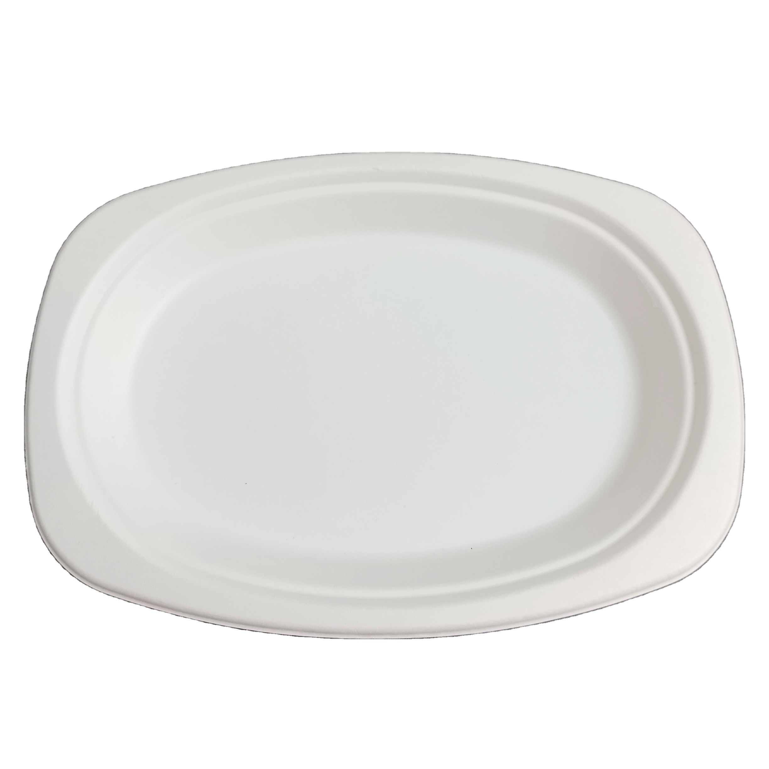 disposable sugarcane oval plate