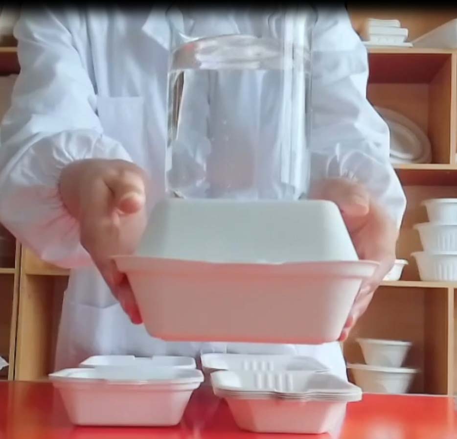 bagasse food box