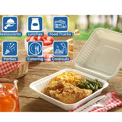 sugarcane bagasse food packaging