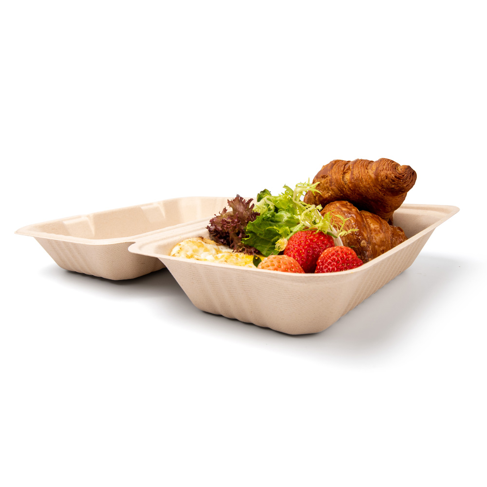 Sugarcane Bagasse Food Lunch Box 9