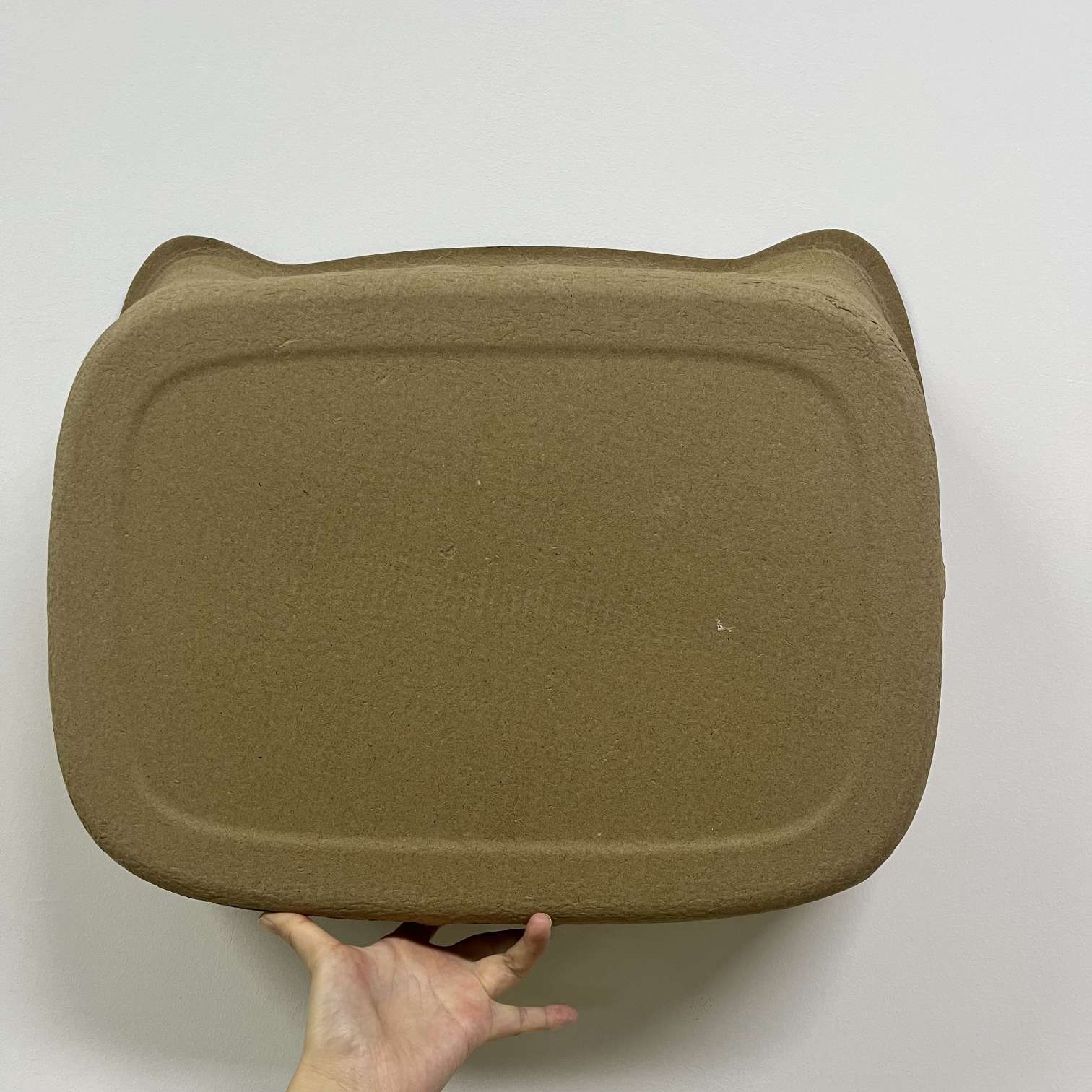 custom Biodegradable paper pulp cat litter box