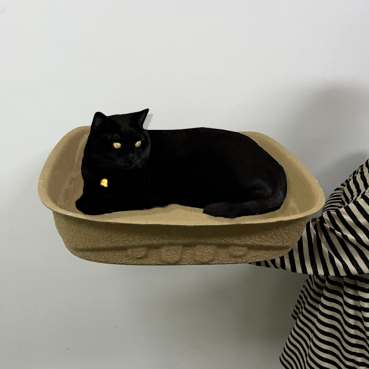 custom Biodegradable paper pulp cat litter box