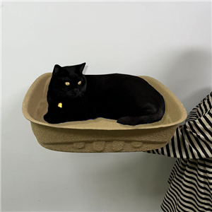 Custom Eco-Friendly Pulp Cat Litter Box for an International Client