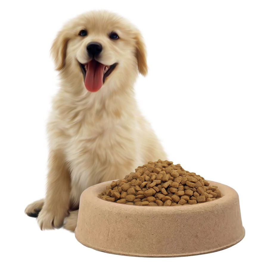 custom pulp mould Pet food feeding bowl