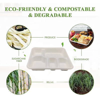 Biodegradable Sugarcane Bagasse 5 Compartment Paper Tray