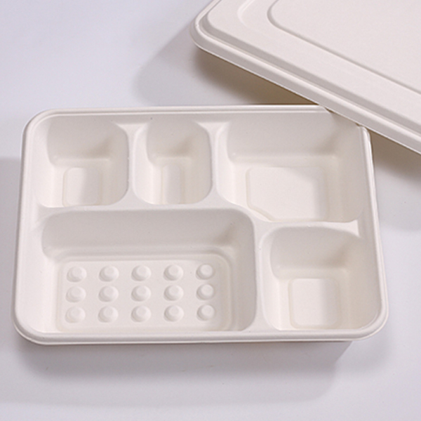 Biodegradable Sugarcane Bagasse 5 Compartment Paper Tray