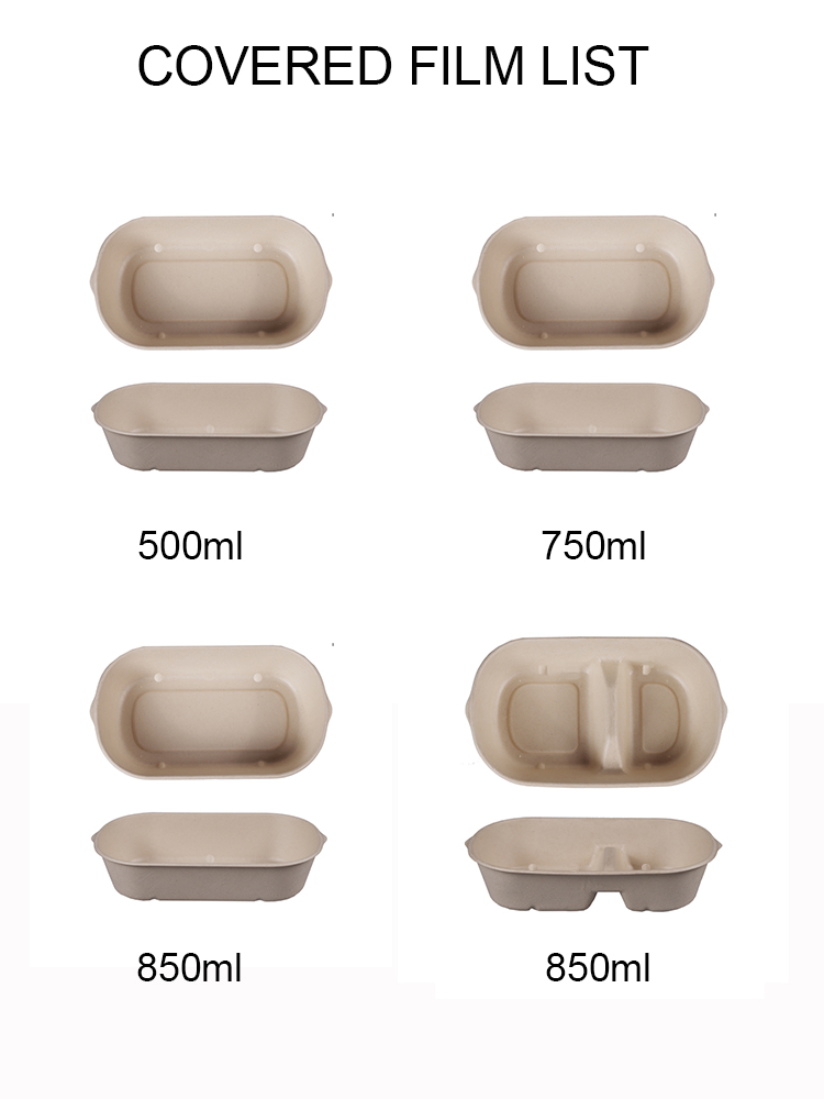 Bagasse food tray packaging