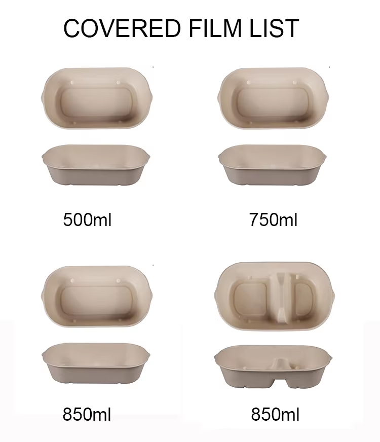 Bagasse food tray packaging