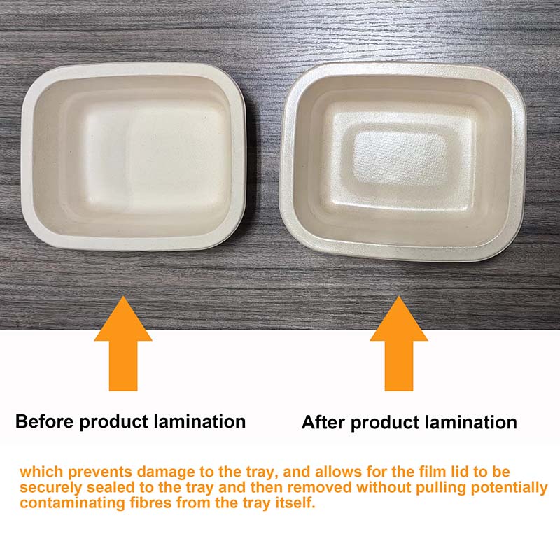 Sealable Meal Tray Biodegradable Bagasse Tray with Lamination Film