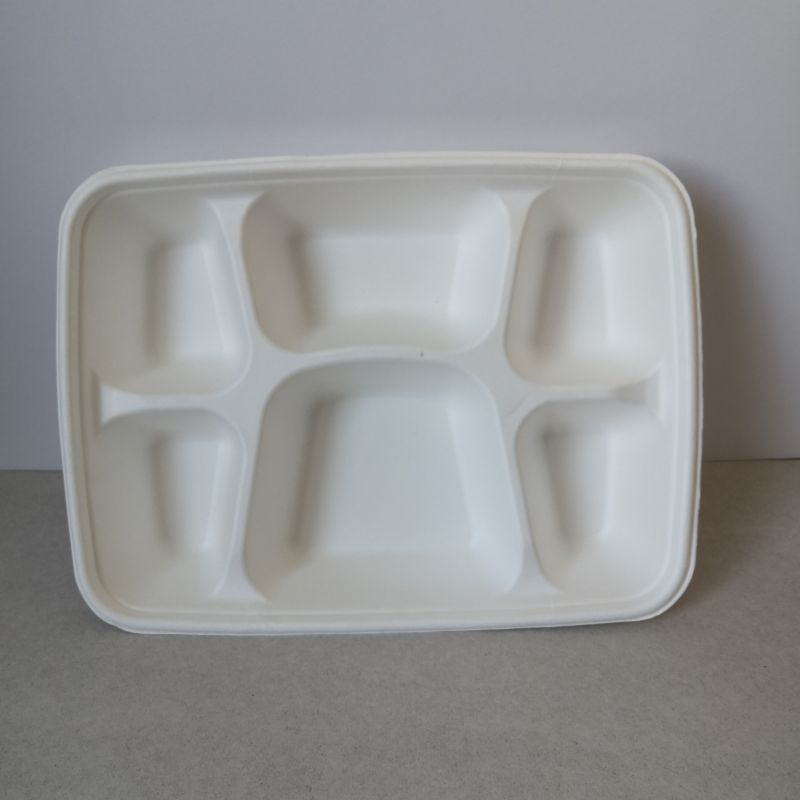 Eco-Friendly 6-Compartment Bagasse Tray