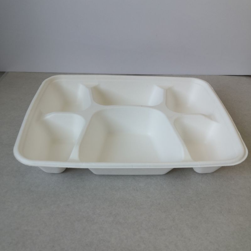 Eco-Friendly 6-Compartment Bagasse Tray