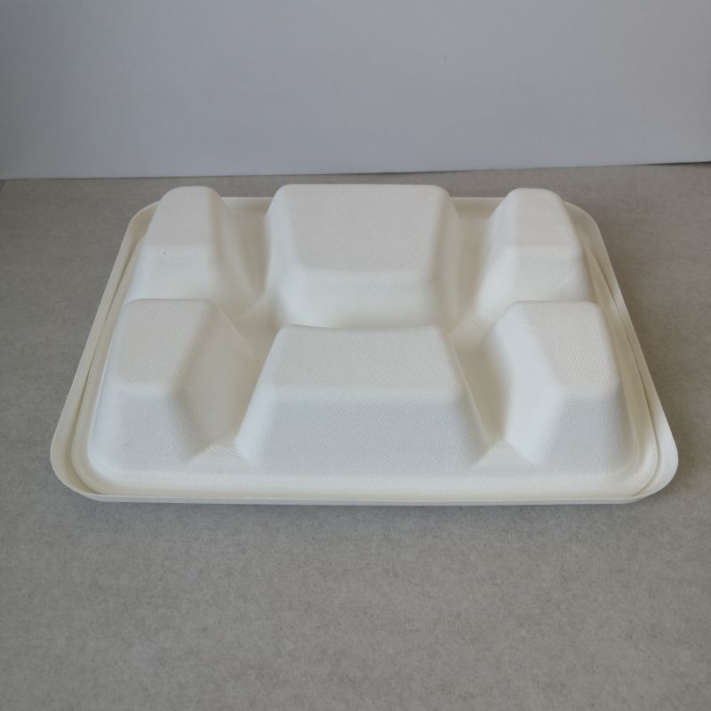 Eco-Friendly 6-Compartment Bagasse Tray