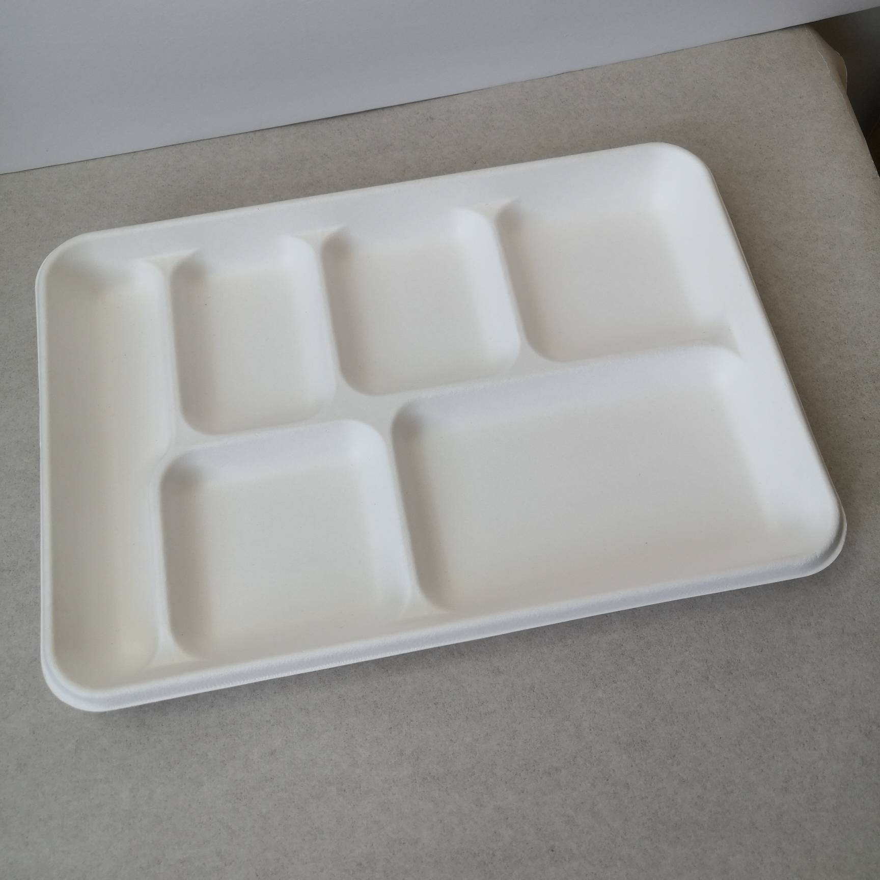 6-Compartment Eco-Friendly Sugarcane Pulp Plate