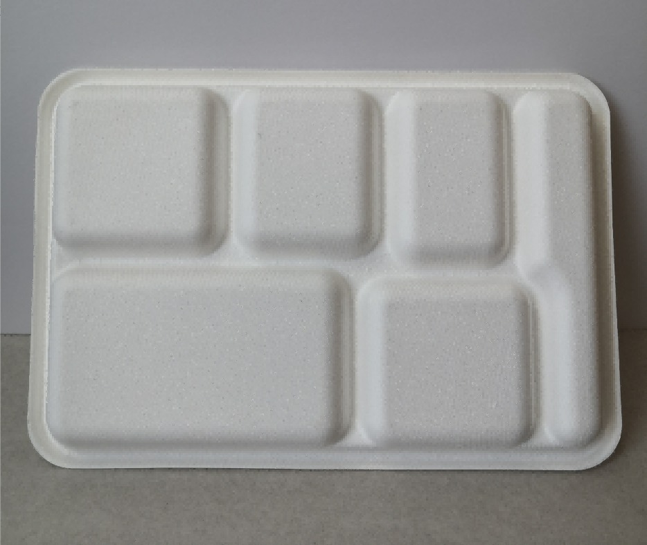 6-Compartment Eco-Friendly Sugarcane Pulp Plate