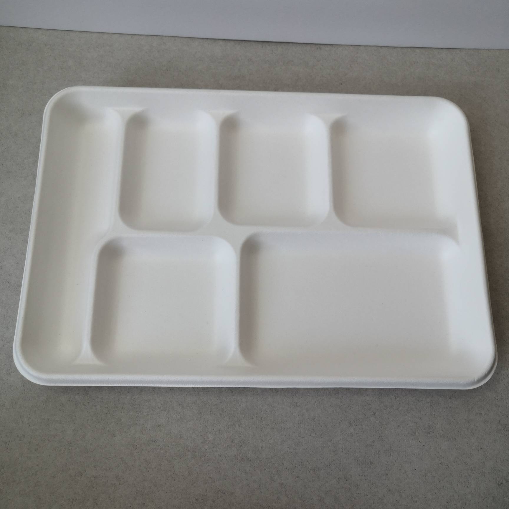 6-Compartment Eco-Friendly Sugarcane Pulp Plate