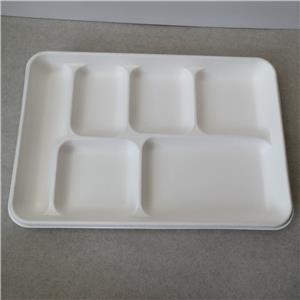 6-Compartment Eco-Friendly Sugarcane Pulp Plate