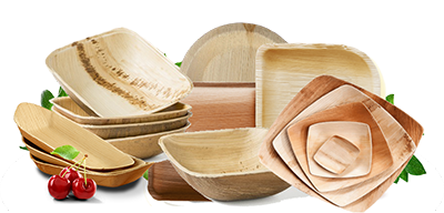 Sugarcane pulp tableware