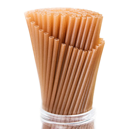 Biodegradable straw