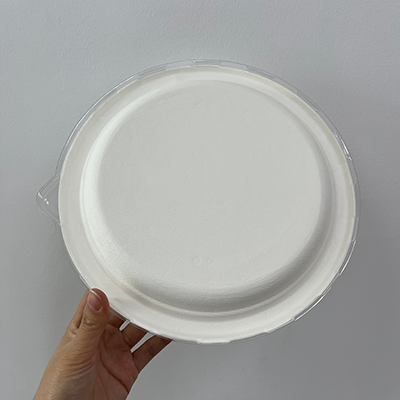 Biodegradable Sugarcane bagasse Pulp Plate with Lid