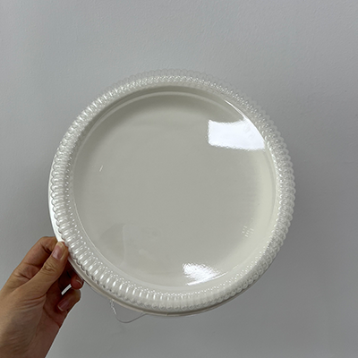 Biodegradable Sugarcane bagasse Pulp Plate with Lid