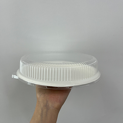 Biodegradable Sugarcane bagasse Pulp Plate with Lid