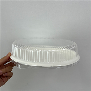 Biodegradable Sugarcane bagasse Pulp Plate with Lid