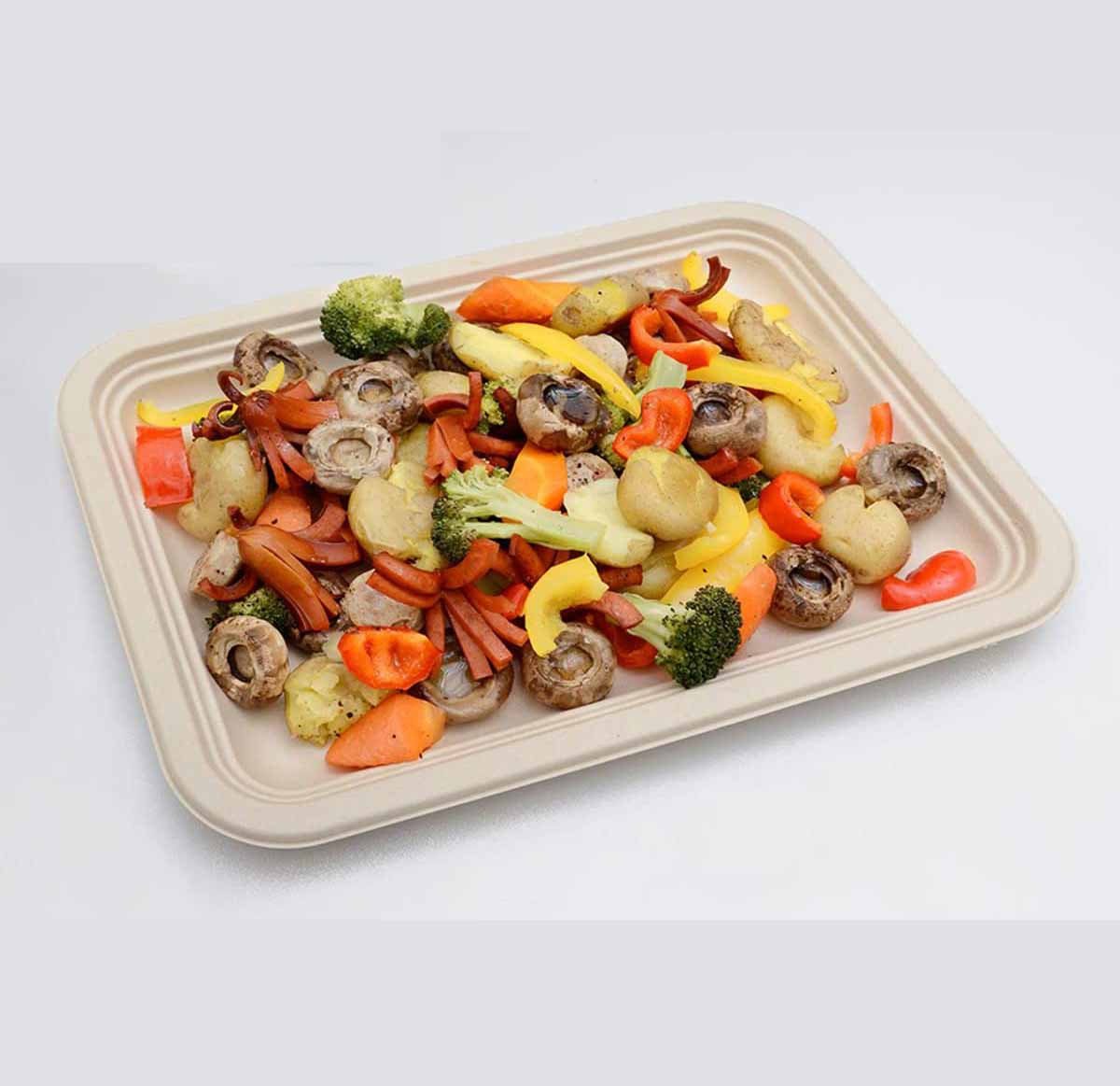 14inch biodegradable bagasse paper tray plate