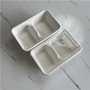 Eco-Friendly 2-Compartment Sugarcane Pulp Food Container