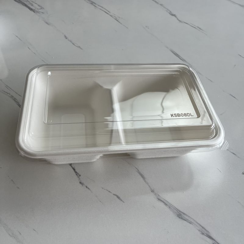 Eco-Friendly 2-Compartment Sugarcane Pulp Food Container