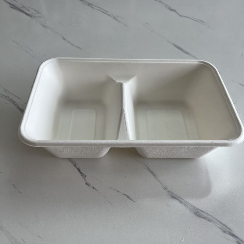 Eco-Friendly 2-Compartment Sugarcane Pulp Food Container