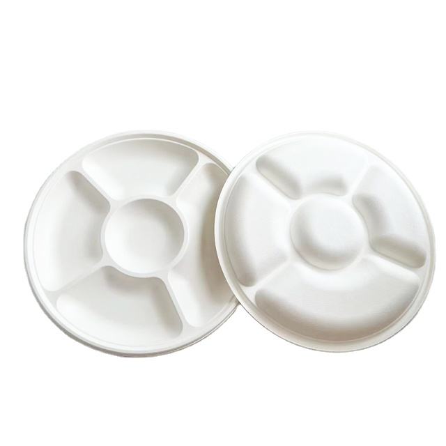 Serving 5-Compartment Bagasse dishes- Biodegradable