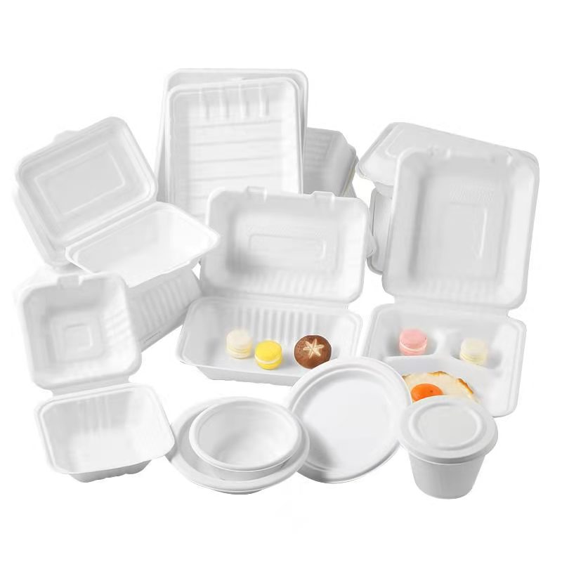 Bagasse food containers