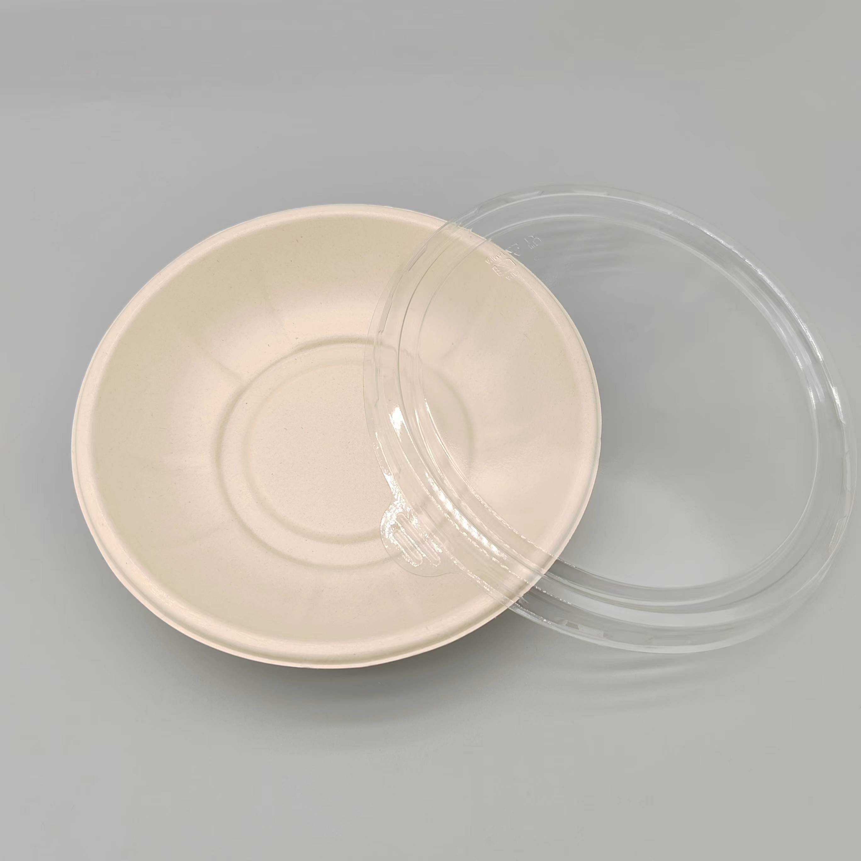 PE Coating 8.15-Inch Sugarcane Bagasse Bowl with Lid