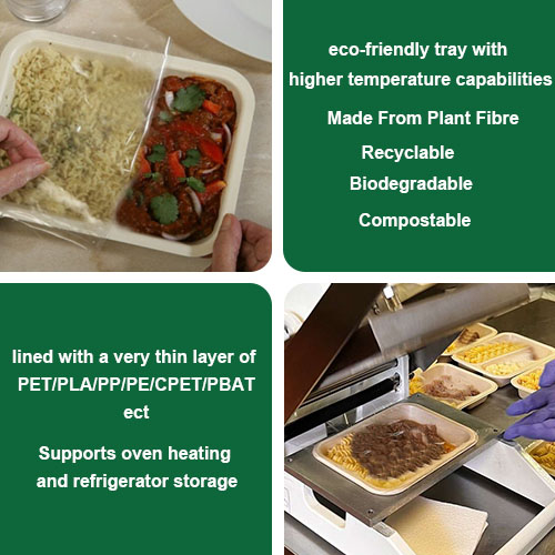 Coated vs. Uncoated Sugarcane Bagasse Tableware: Eco-Friendly Options for Every Need