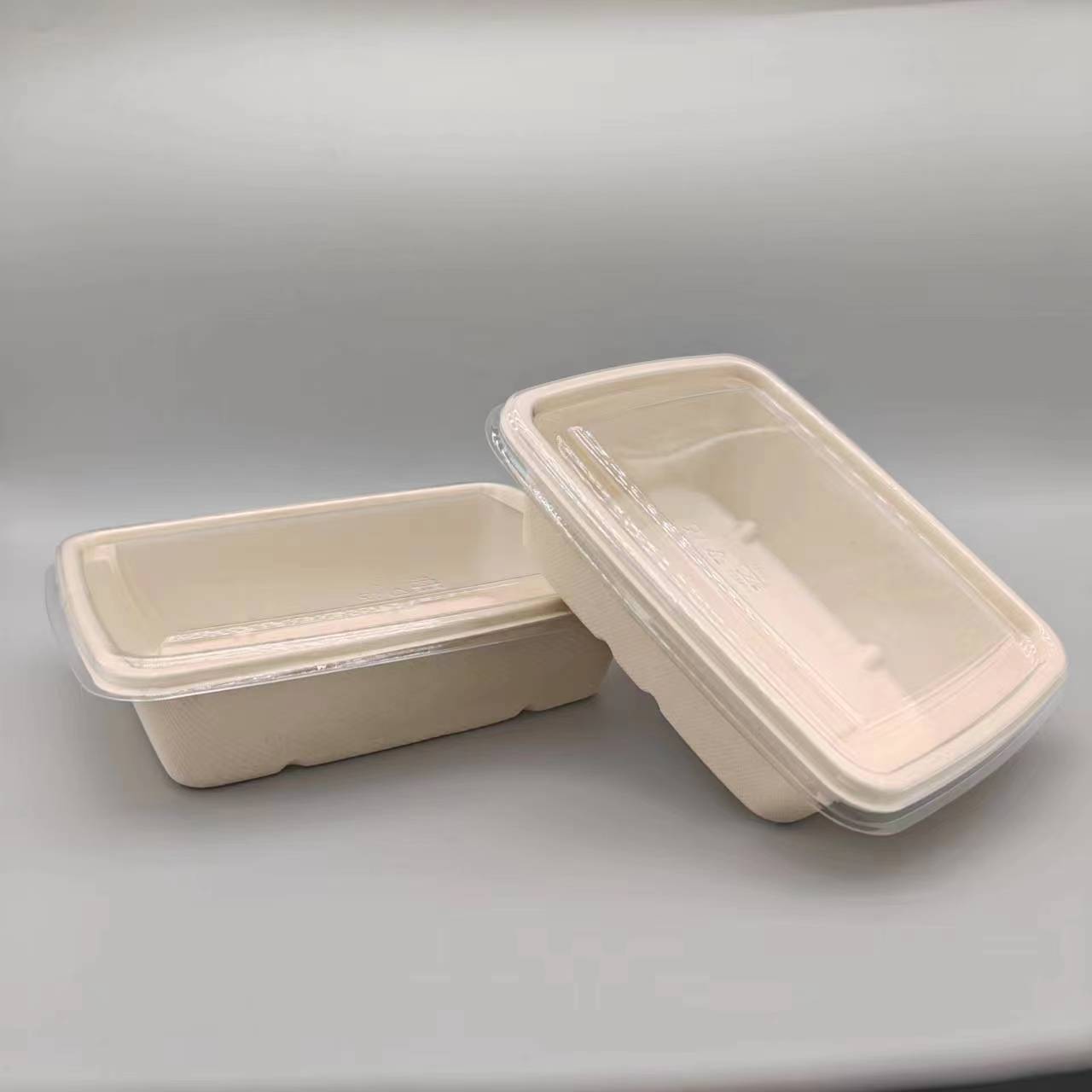 Eco-Friendly Coated Bagasse Cheese Box with Lid