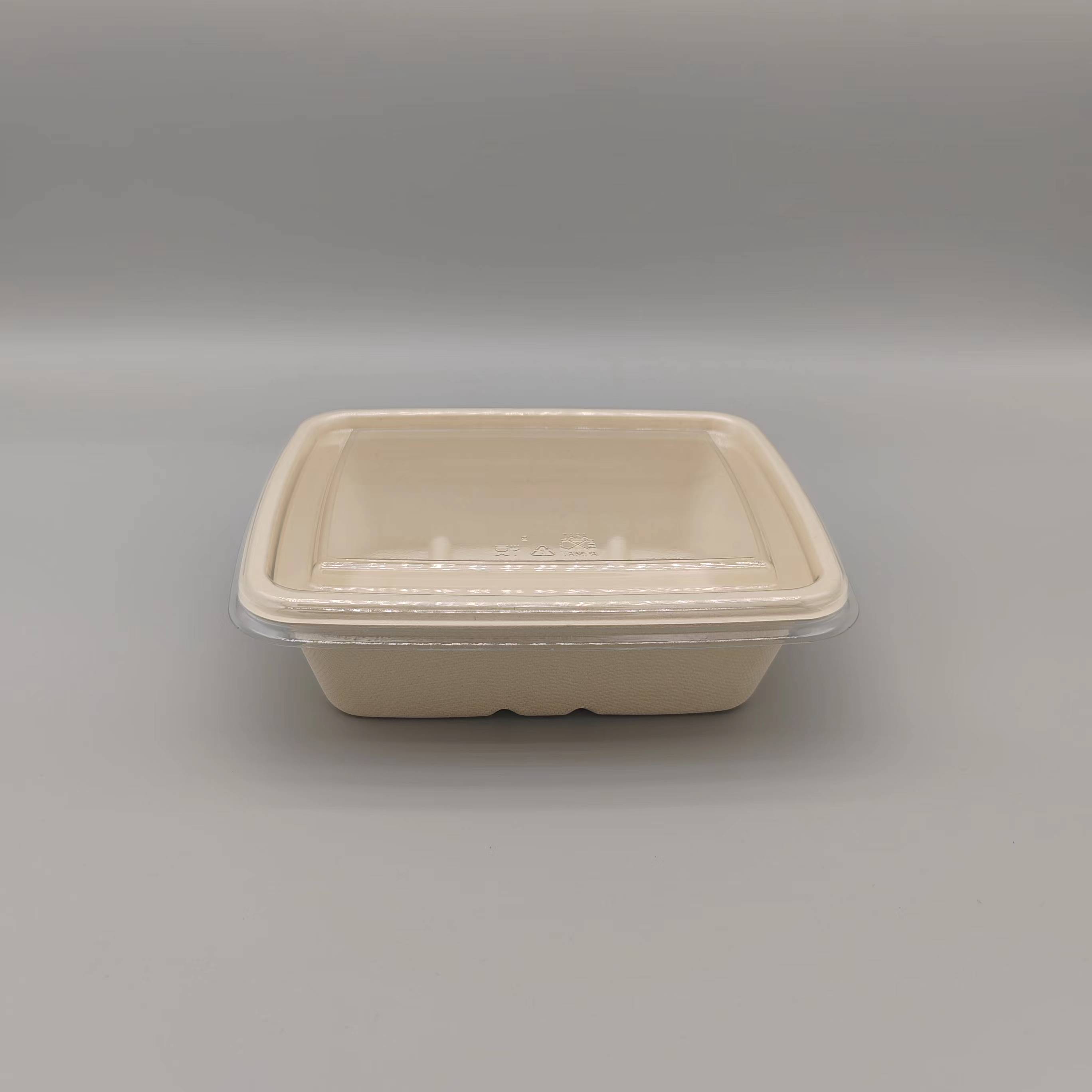 Eco-Friendly Coated Bagasse Cheese Box with Lid