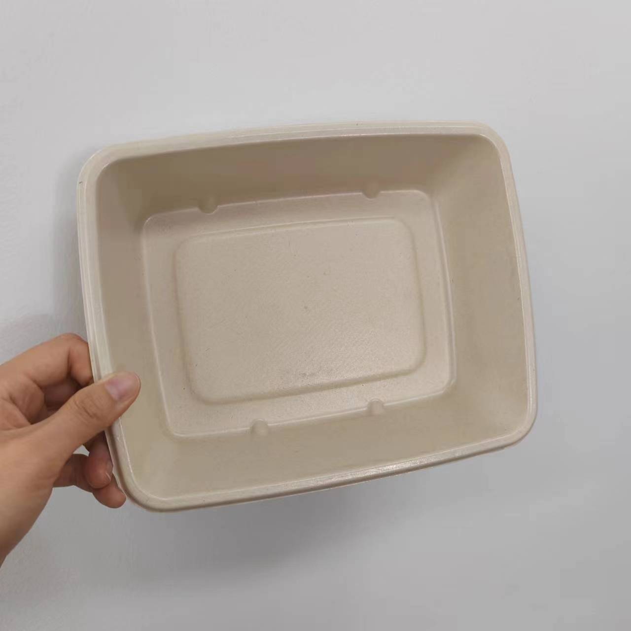 Eco-Friendly Coated Bagasse Cheese Box with Lid