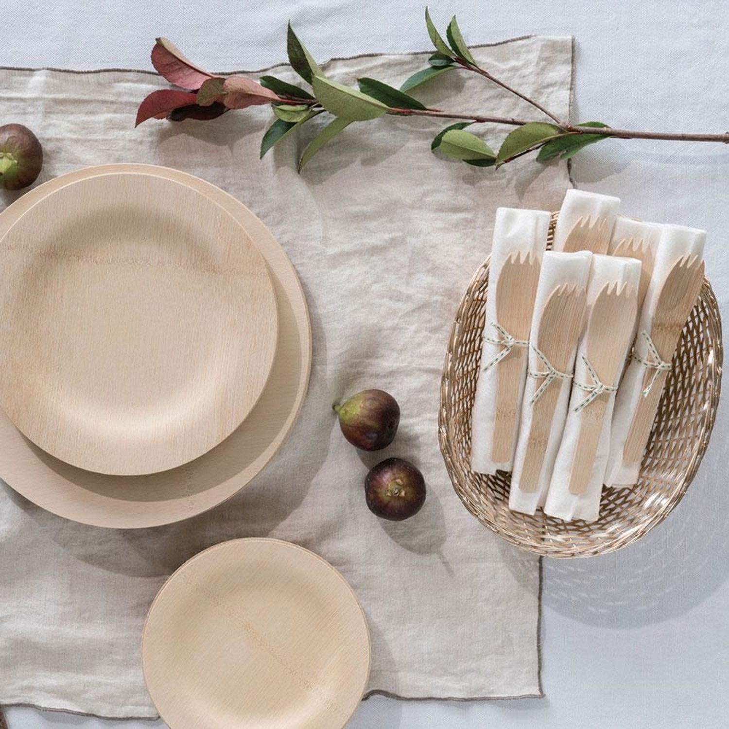 disposable Compostable plates