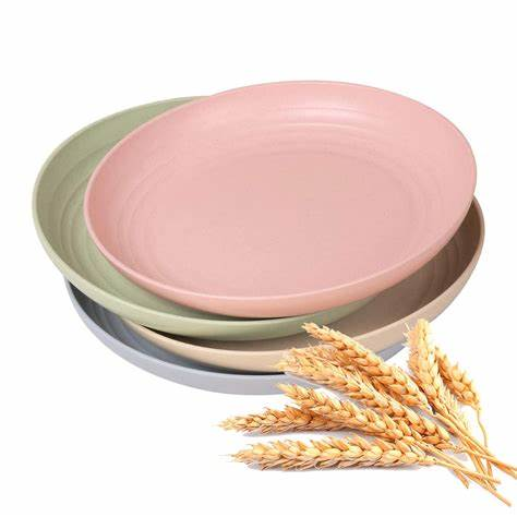 Sugarcane Compostable plates