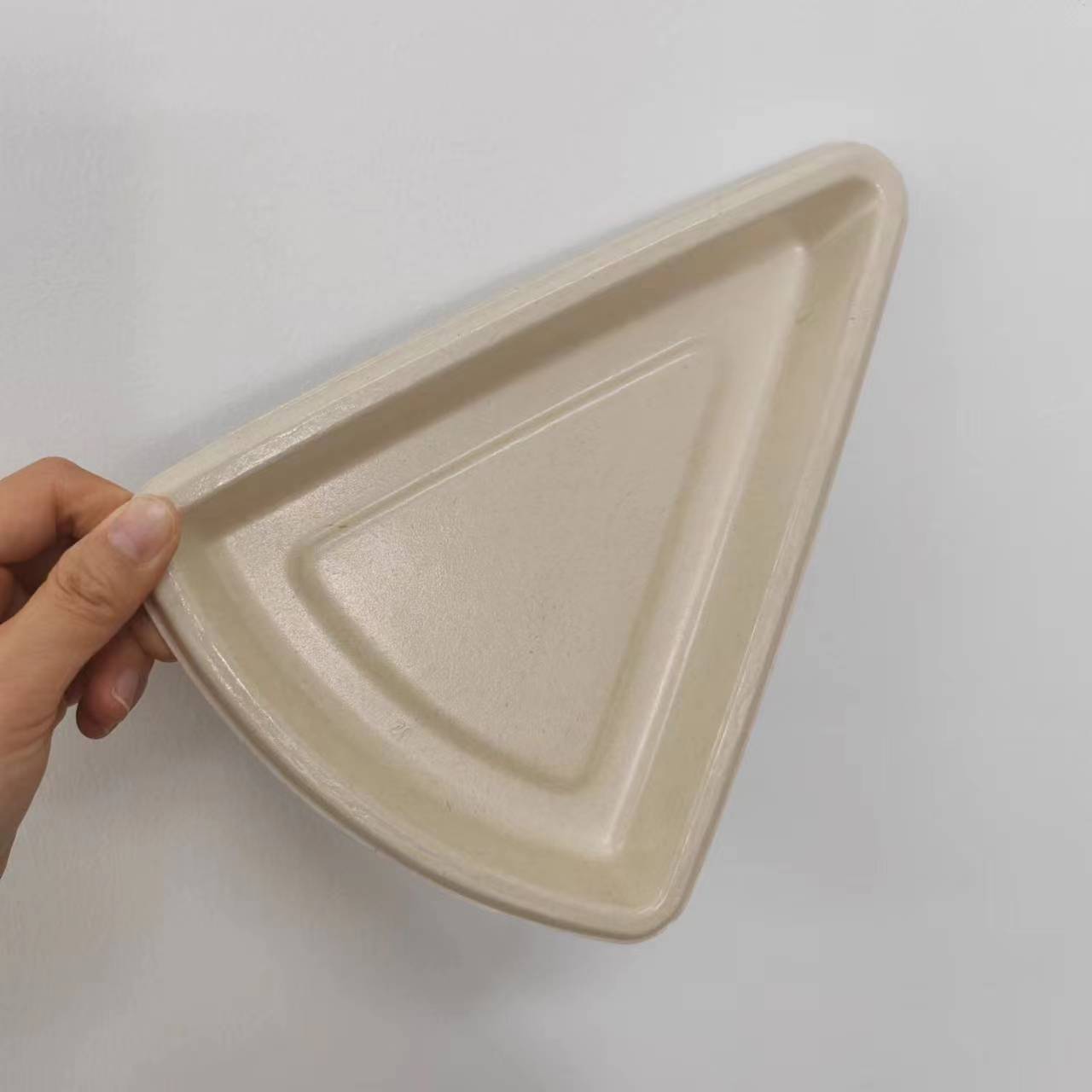 Eco-Friendly Coated Bagasse Pizza Box with Lid