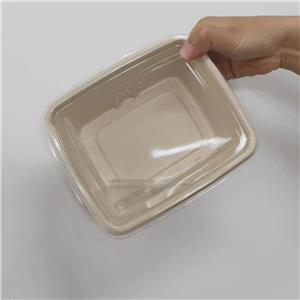 Eco-Friendly Coated Bagasse BBQ Box with Lid