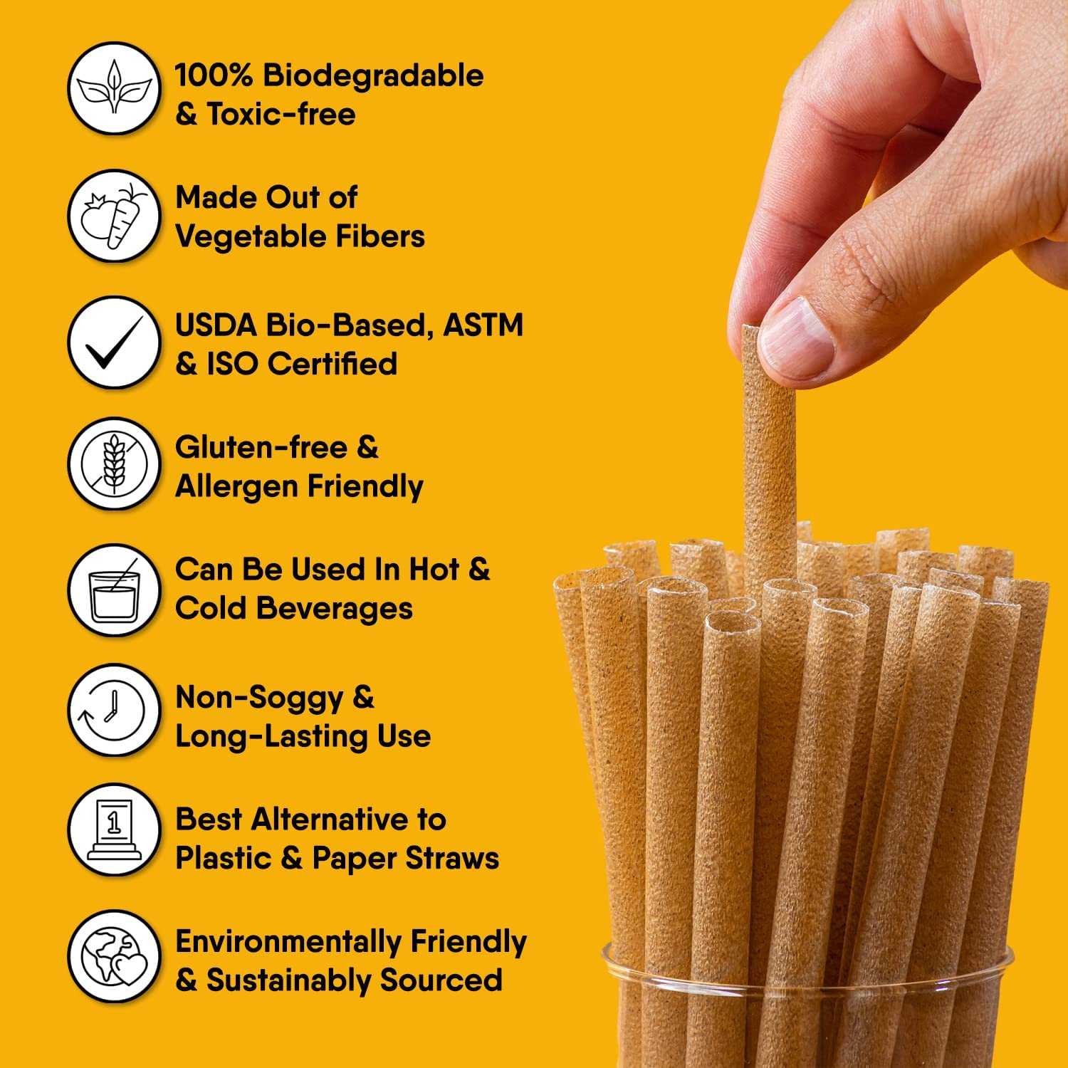 What Are Biodegradable Straws Made Of?