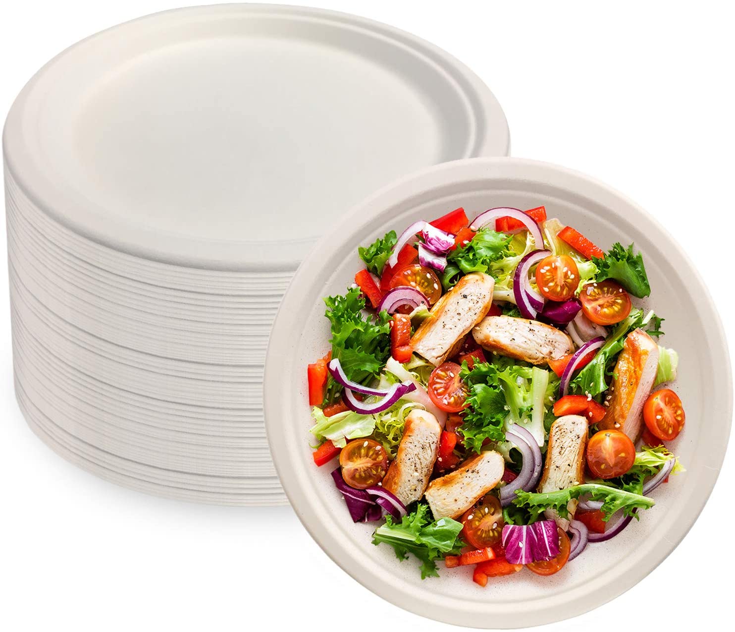 Disposable Compostable Paper Dinner Plates​-Bagasse