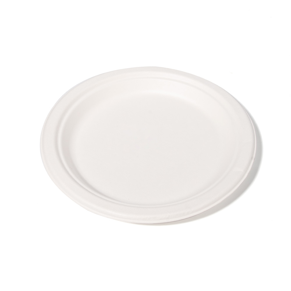 Disposable Compostable Paper Dinner Plates​-Bagasse