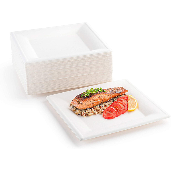 compostable plates bulk