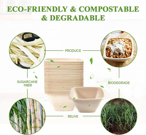 compostable bowls with lids