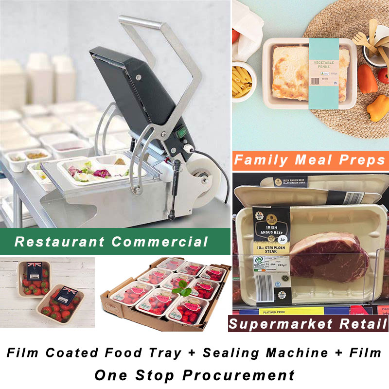 Disposable Food Tary with Sealing Machine