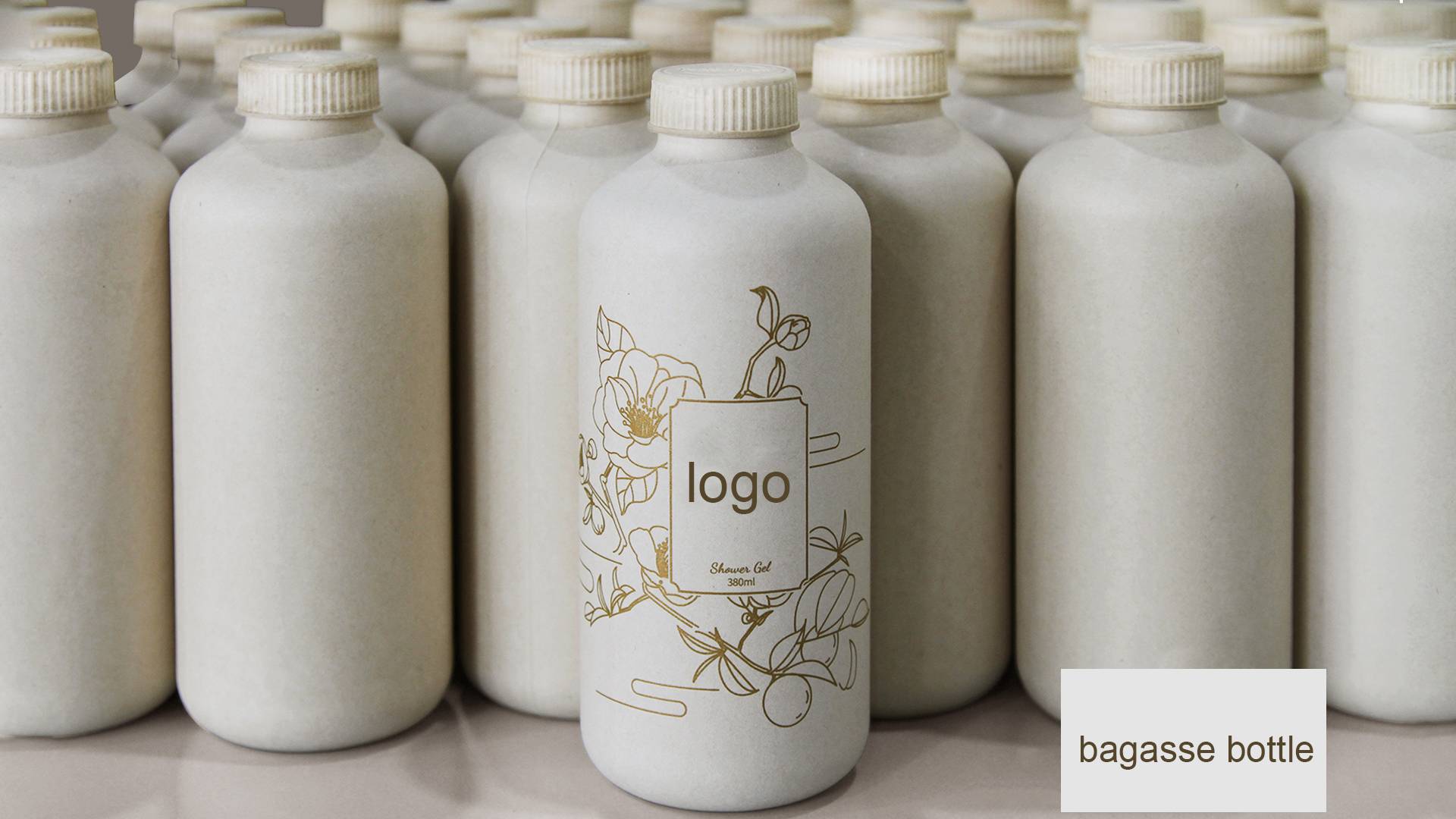 Biodegradable Sugarcane Bottle Eco-Friendly Solution